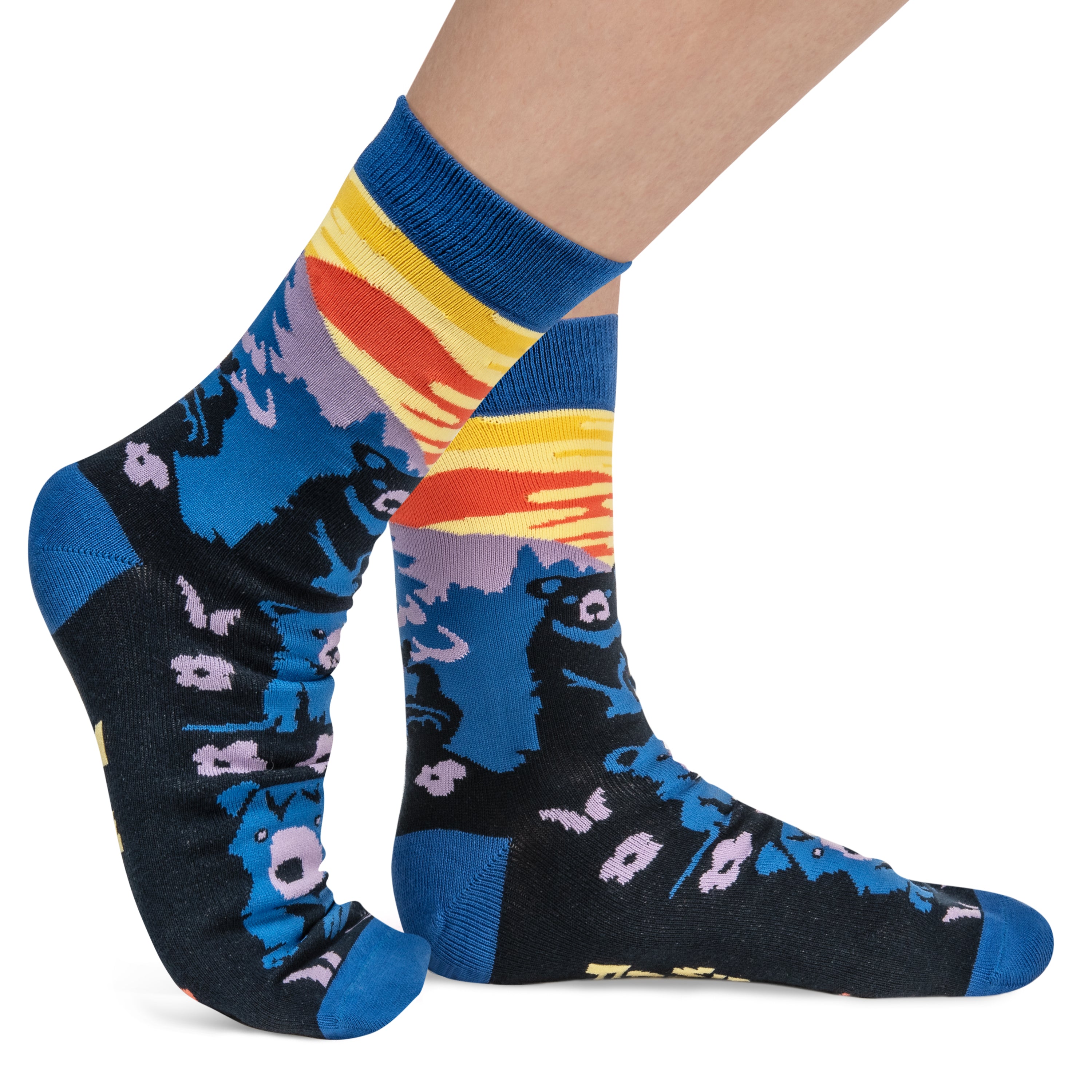 Stay Wild and Free Socks For Outdoorsy People