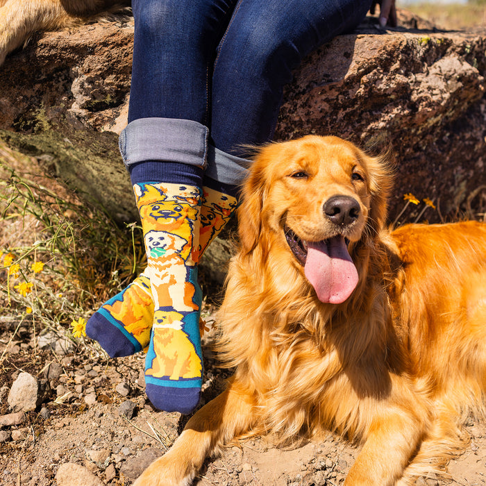 Life Is Golden Socks Lavley Life Is Golden Socks Lavley