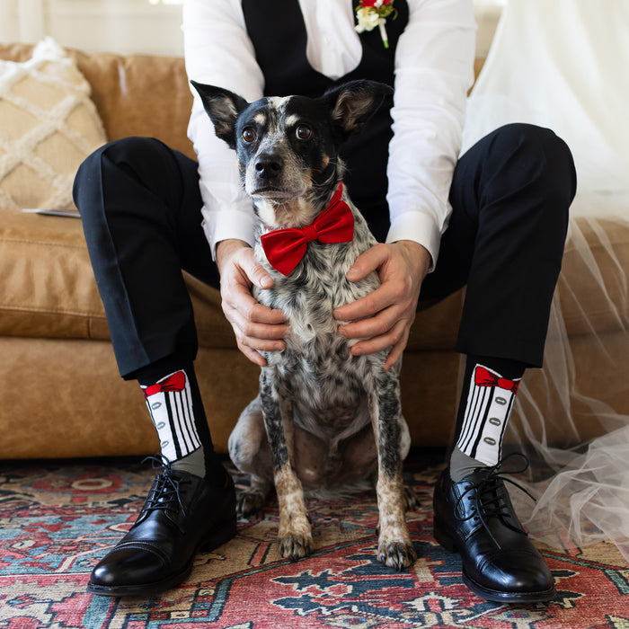 Groom Tuxedo Socks