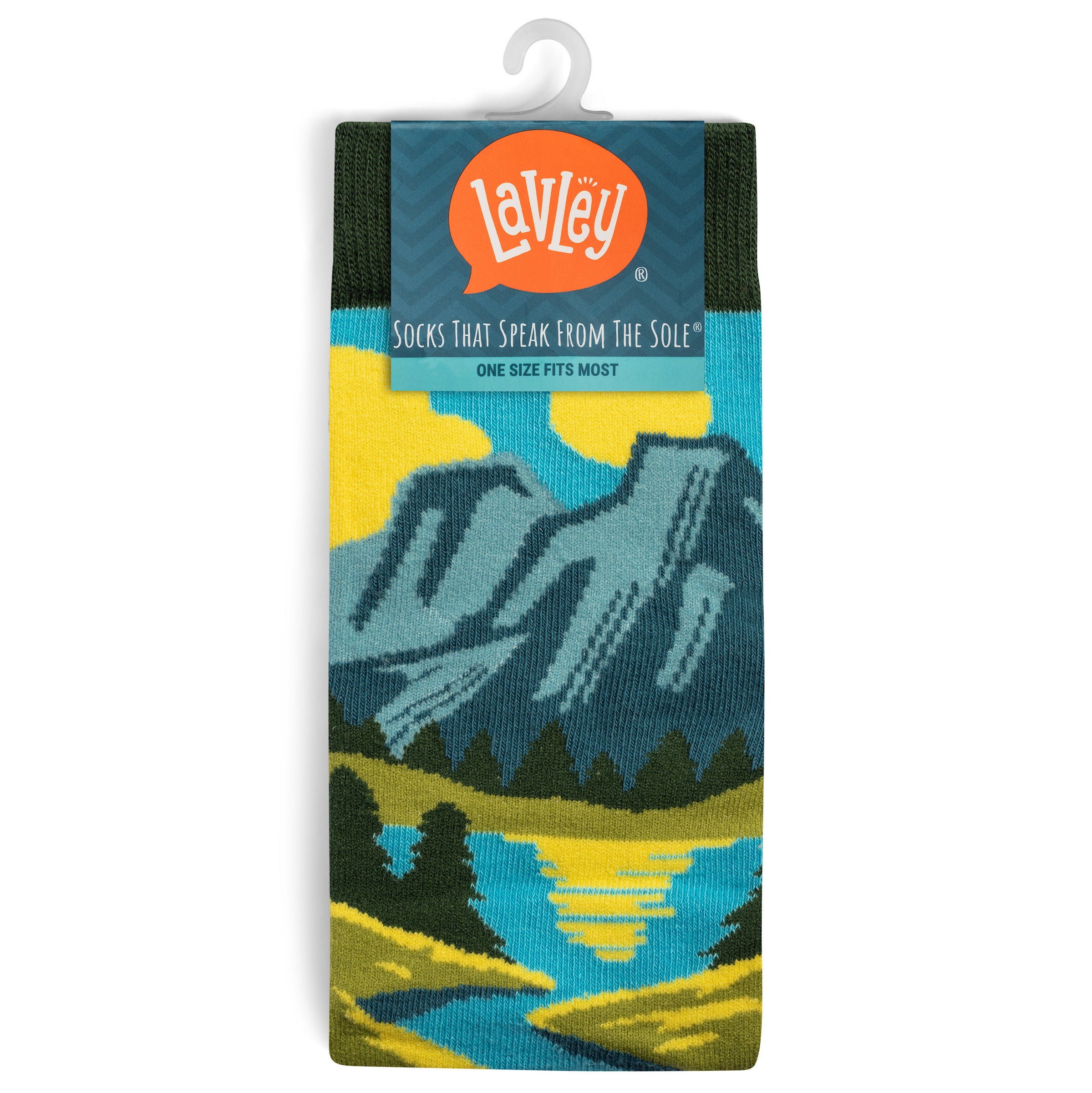 I'd Hike That Socks Unisex Gift for Hikers