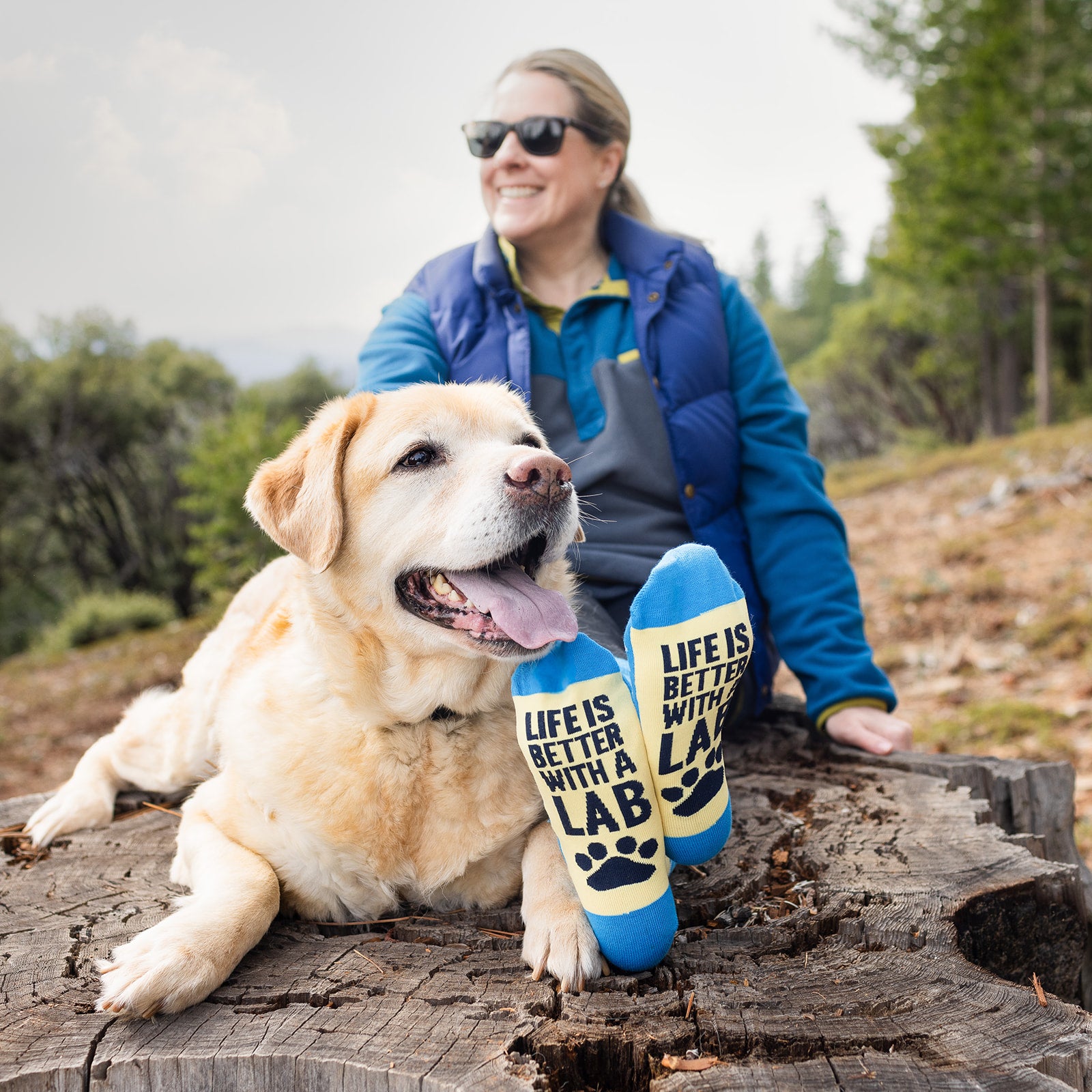 Life Is Better With a Lab Socks