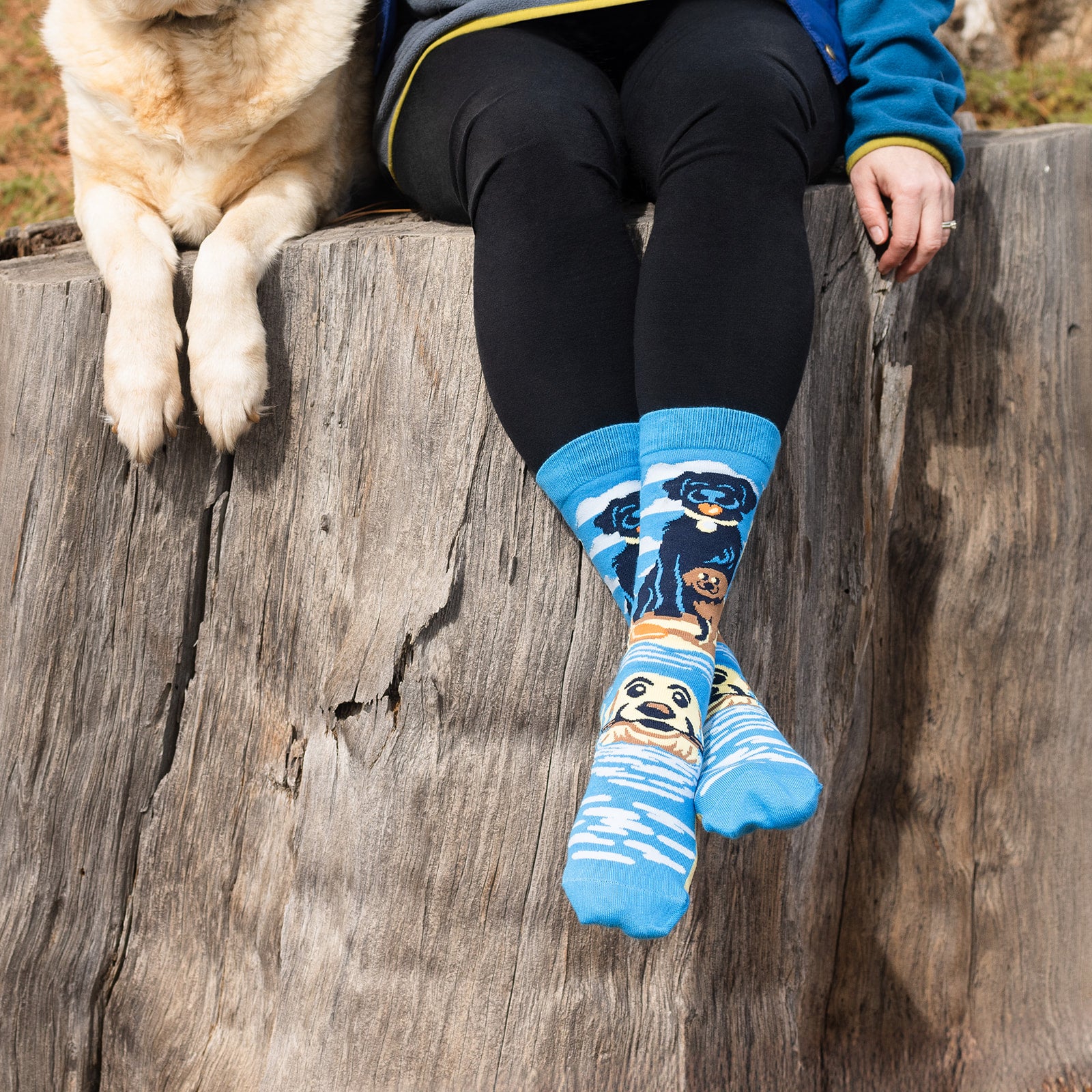 Life Is Better With a Lab Socks