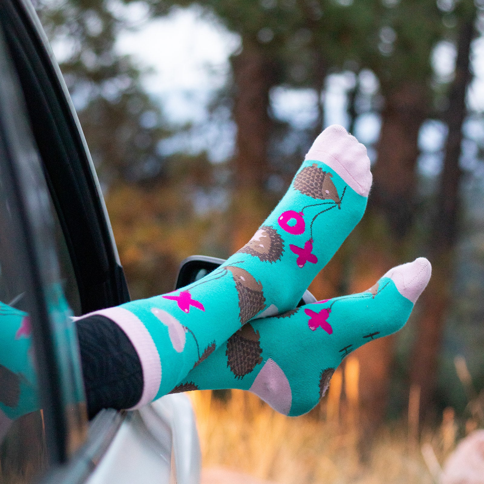 Hedgehug Socks