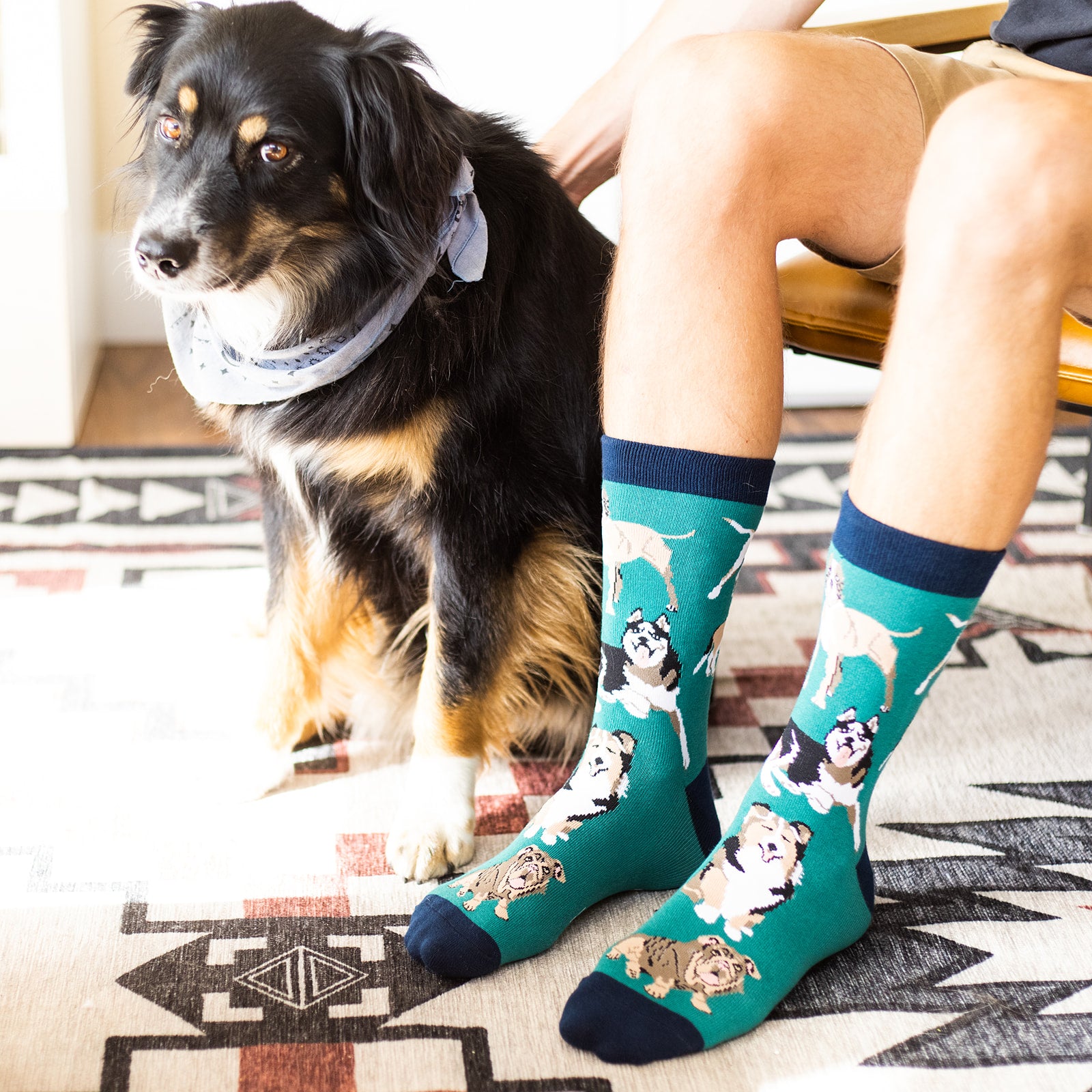 I'd Rather Be With My Dog Socks (Green)