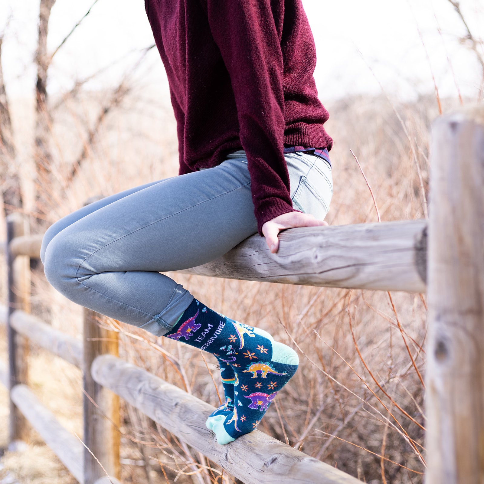 Team Herbivore Socks